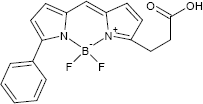 BODIPY